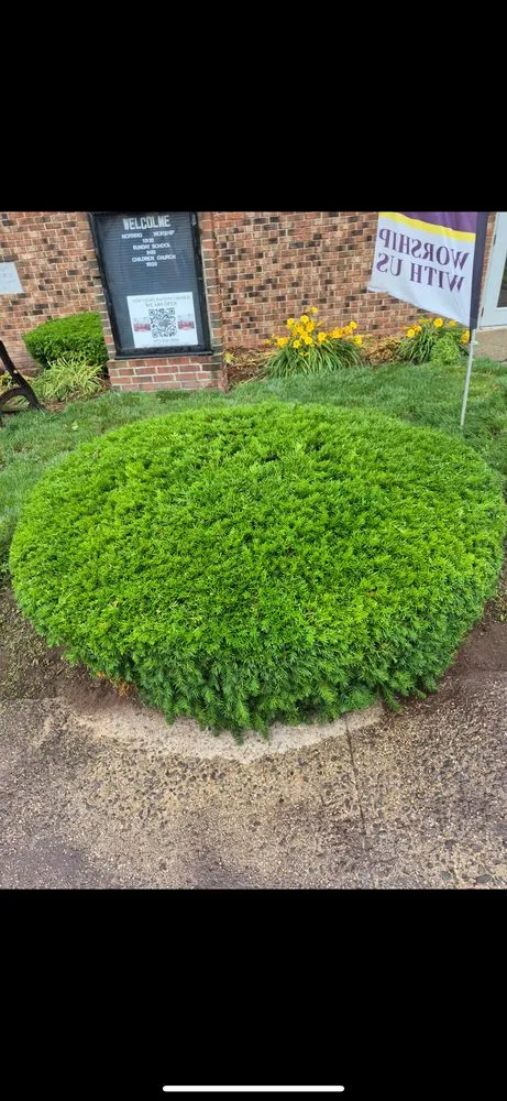 Reliable landscaping services for beautiful yards in Bloomfield, NJ by Custom care Property Services