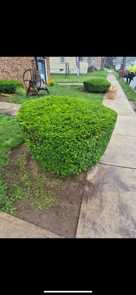 Affordable landscape installation for outdoor upgrades across Bloomfield, NJ - Custom care Property Services