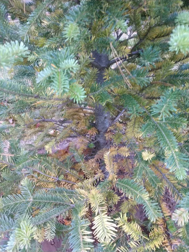 Affordable garden landscaping with custom design across Arbor Vitae, WI - Custom Caretaking & Landscaping