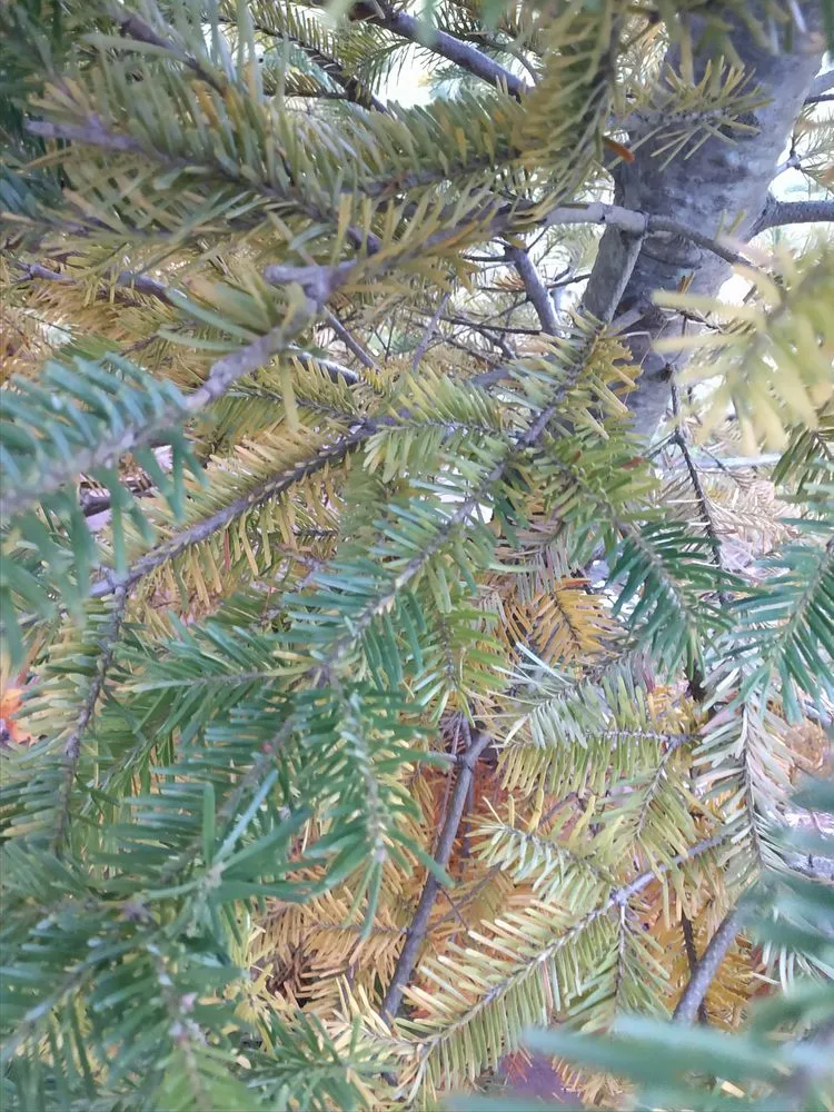 Expert yard maintenance experts serving Arbor Vitae, WI - Custom Caretaking & Landscaping