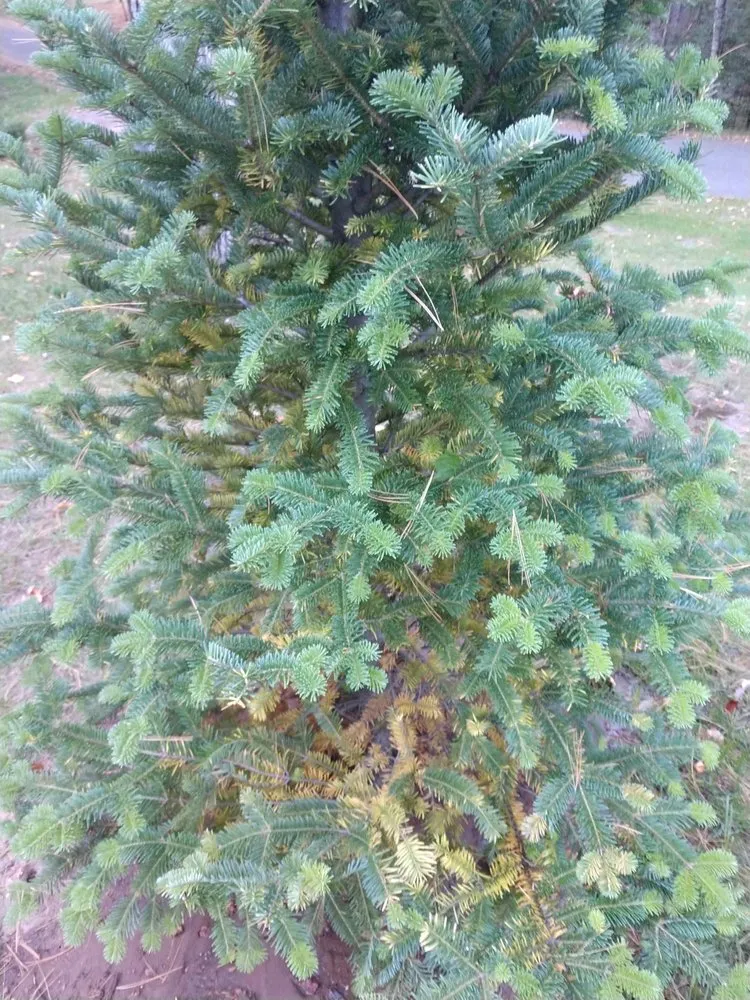 Local landscape design experts serving Arbor Vitae, WI - Custom Caretaking & Landscaping