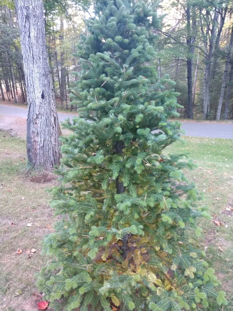 Top-rated garden landscaping for homes in Arbor Vitae, WI by Custom Caretaking & Landscaping