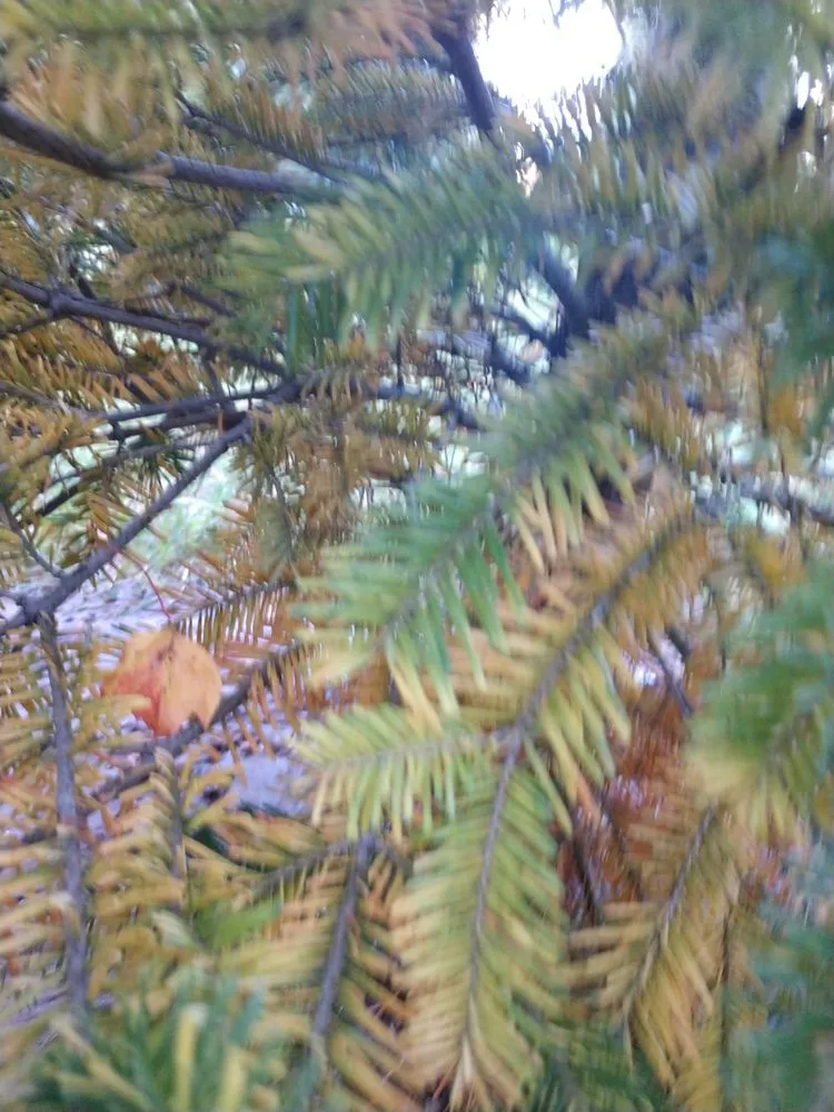 Trusted garden landscaping in Arbor Vitae, WI by Custom Caretaking & Landscaping