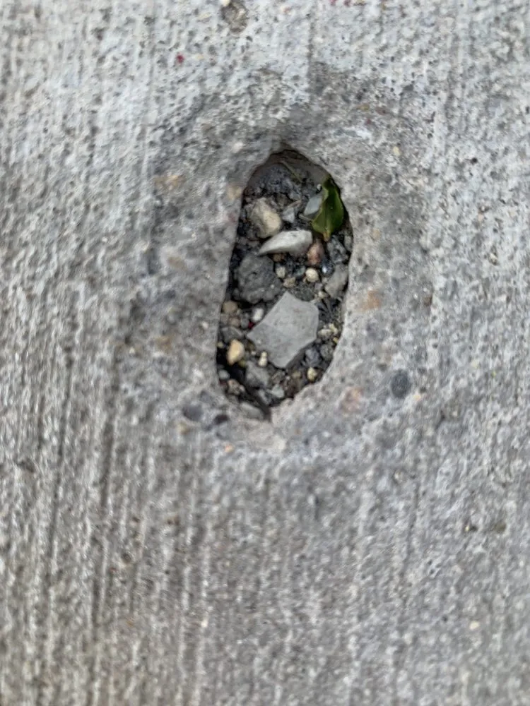 Top-rated yard cleanup service in Minneapolis, MN - Custom Construction Services