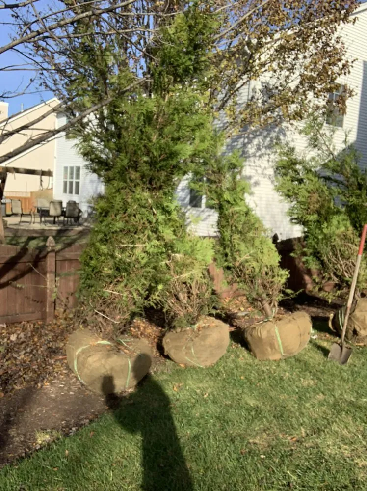 Trusted garden landscaping for outdoor upgrades across Crown point, MI - Custom Creeks
