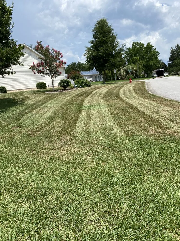 Affordable landscaping services in Fruitland Park, FL by Custom Cut