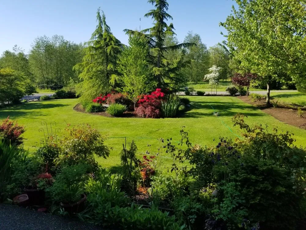 Custom yard maintenance in Lynden, WA - Custom Cut Landscape & Irrigation