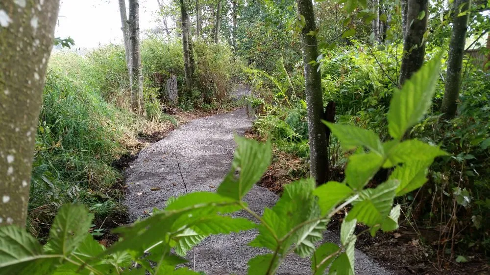 Affordable garden landscaping near you in Lynden, WA by Custom Cut Landscape & Irrigation