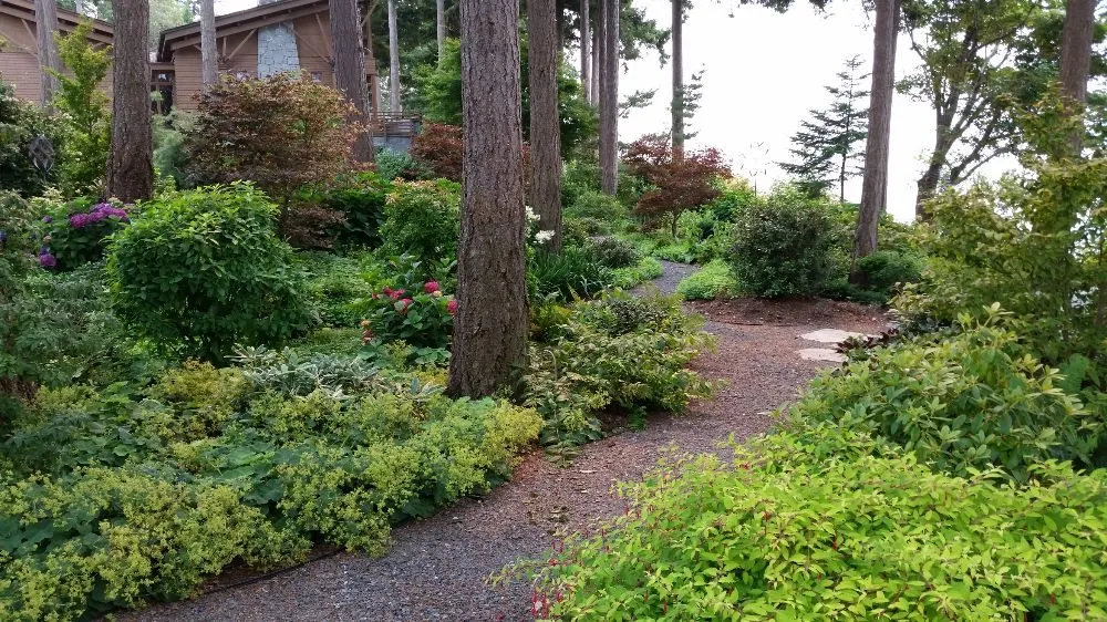 Custom yard cleanup service for residential properties in Lynden, WA by Custom Cut Landscape & Irrigation
