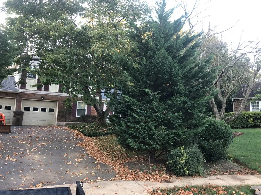 Expert outdoor landscaping for beautiful yards across Mount Airy, MD - Custom Cuts Landscape Design