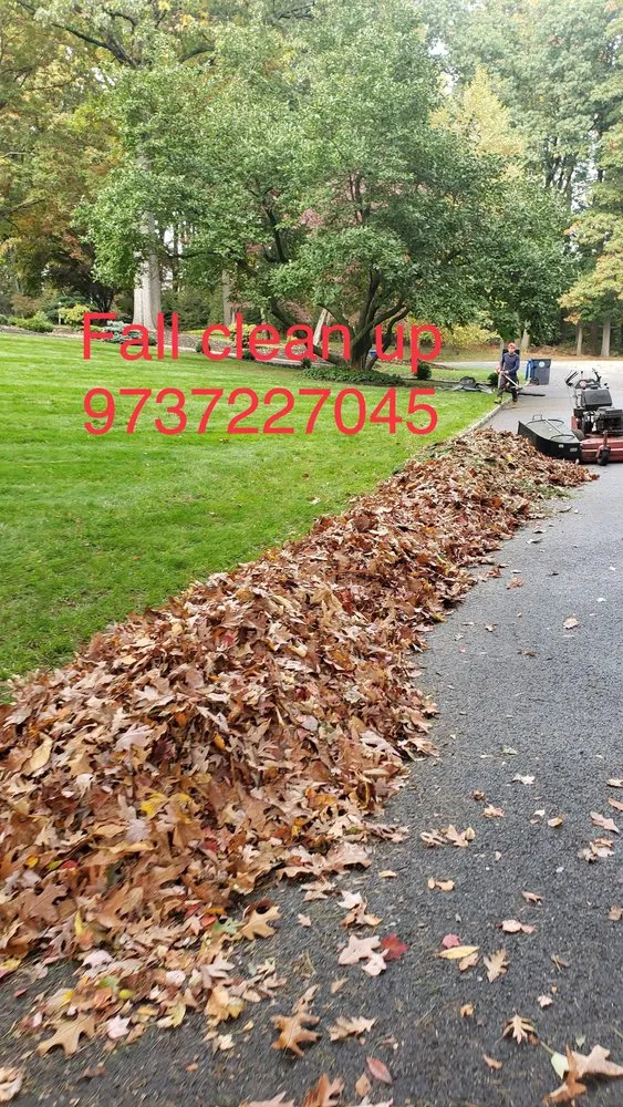 Local outdoor landscaping experts serving Morris Plains, NJ - Custom D&C Landscaping