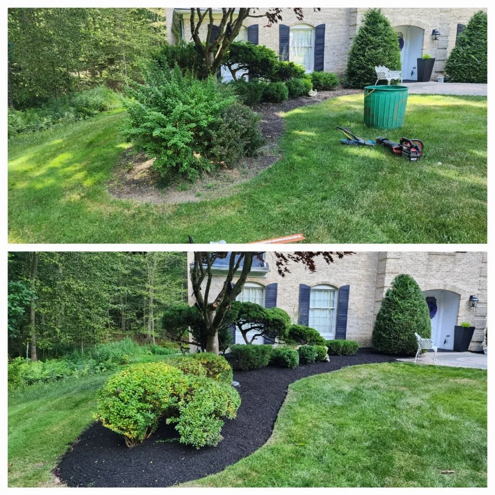 Affordable garden landscaping for year-round maintenance in Morris Plains, NJ by Custom D&C Landscaping