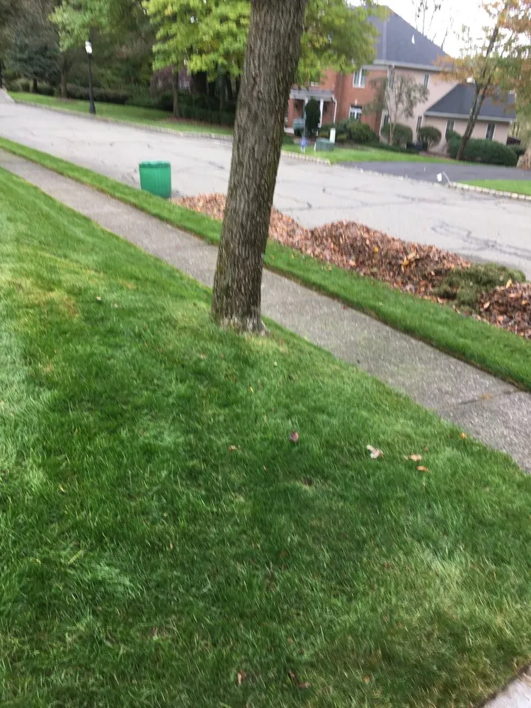 Professional lawn care service in Morris Plains, NJ - Custom D&C Landscaping