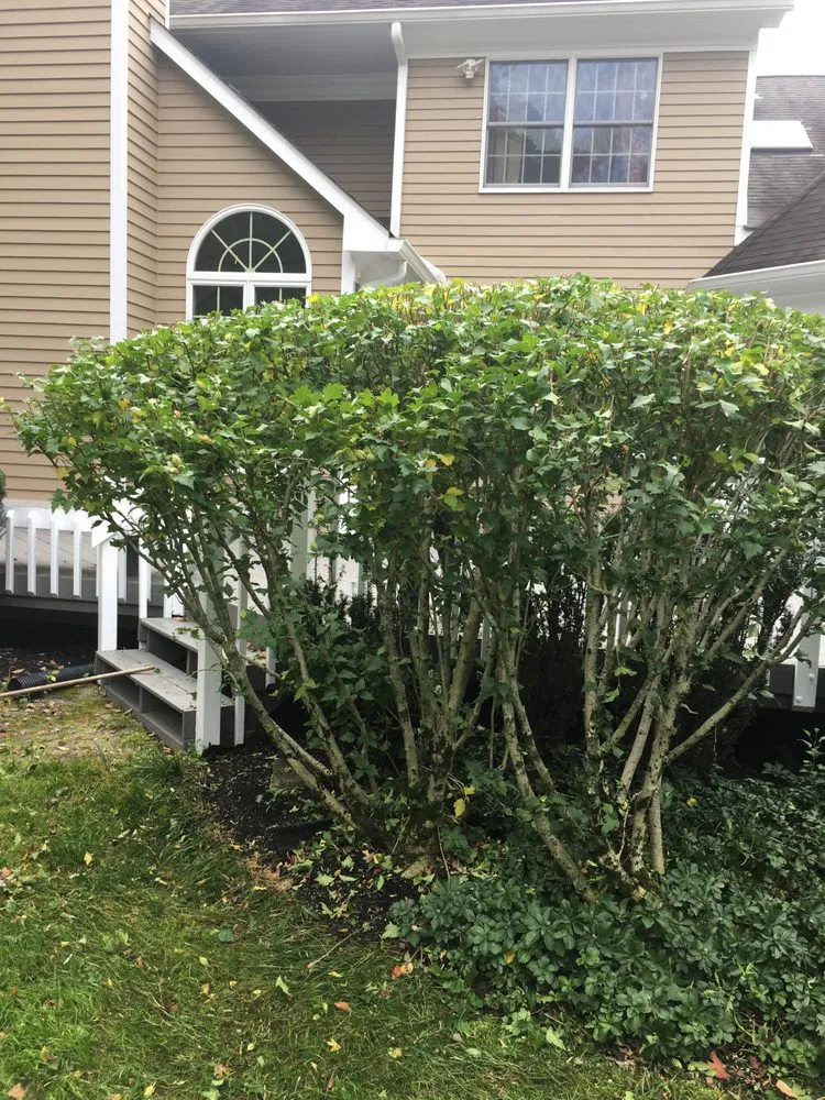 Affordable lawn mowing service for outdoor upgrades across Morris Plains, NJ - Custom D&C Landscaping