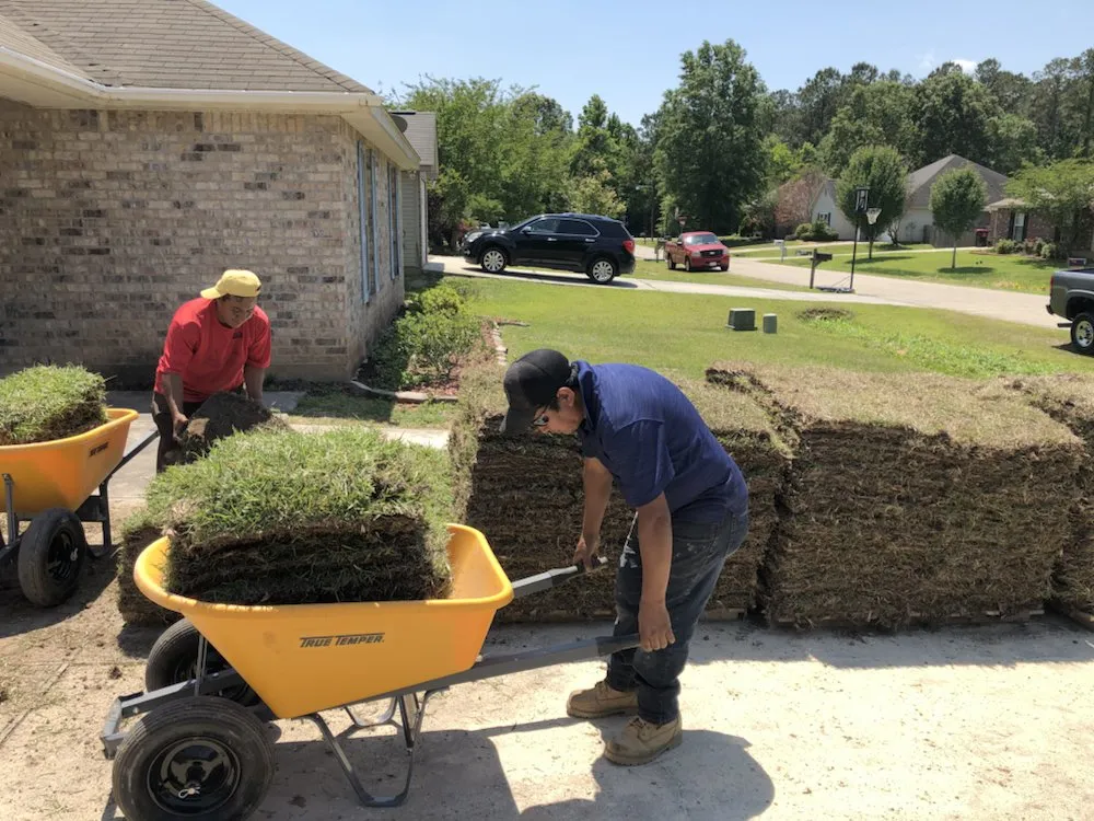 Reliable lawn care service experts serving Madisonville, LA - Custom Design Landscaping