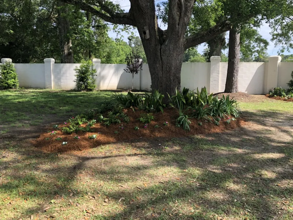 Affordable yard maintenance near you across Madisonville, LA - Custom Design Landscaping