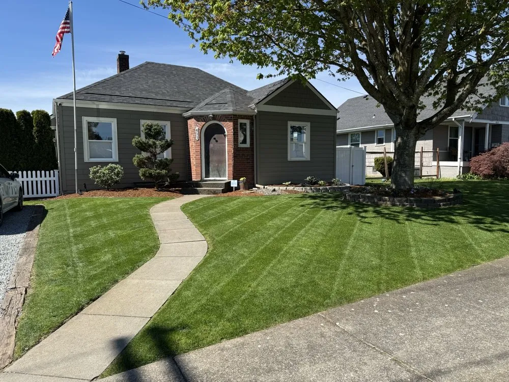 Professional lawn care service in Bellingham, WA - Custom Dirt & Hydroseed