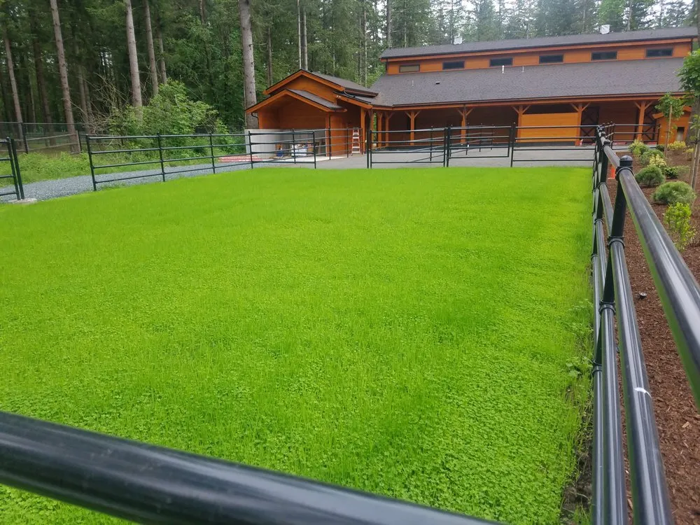 Trusted landscape installation for outdoor upgrades in Bellingham, WA by Custom Dirt & Hydroseed