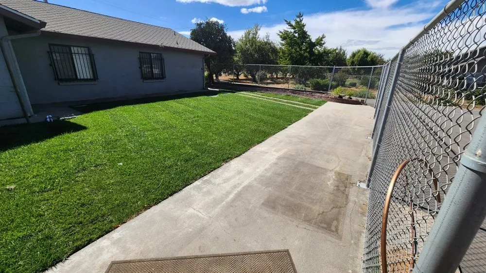 Top-rated lawn care service for homes across Patterson, CA - Custom Edge Landscape Construction