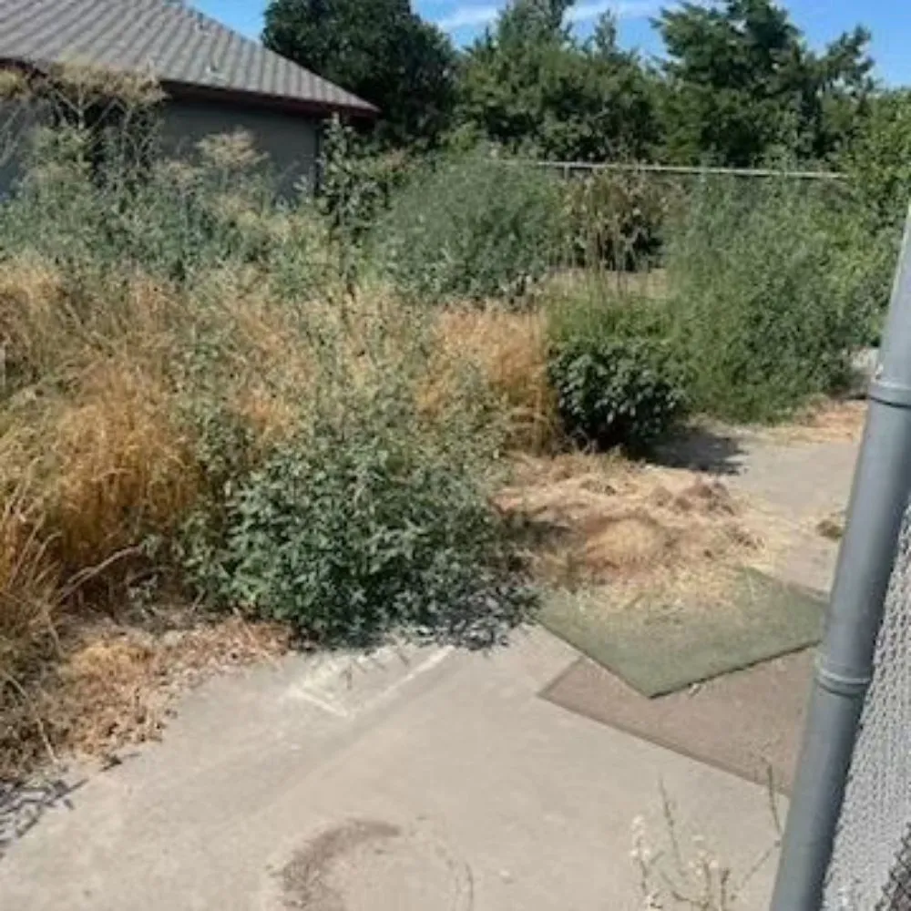 Custom yard cleanup service experts serving Patterson, CA - Custom Edge Landscape Construction