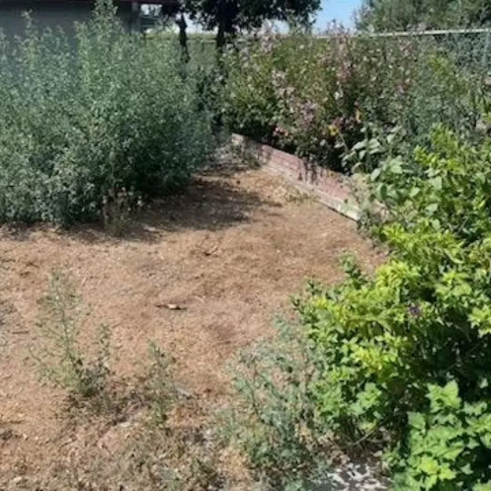 Professional lawn mowing service for homes in Patterson, CA by Custom Edge Landscape Construction