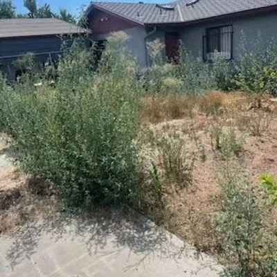 Custom Edge Landscape Construction