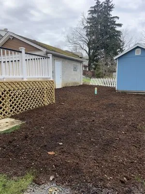 Custom Edge Lawn And Landscape Logo