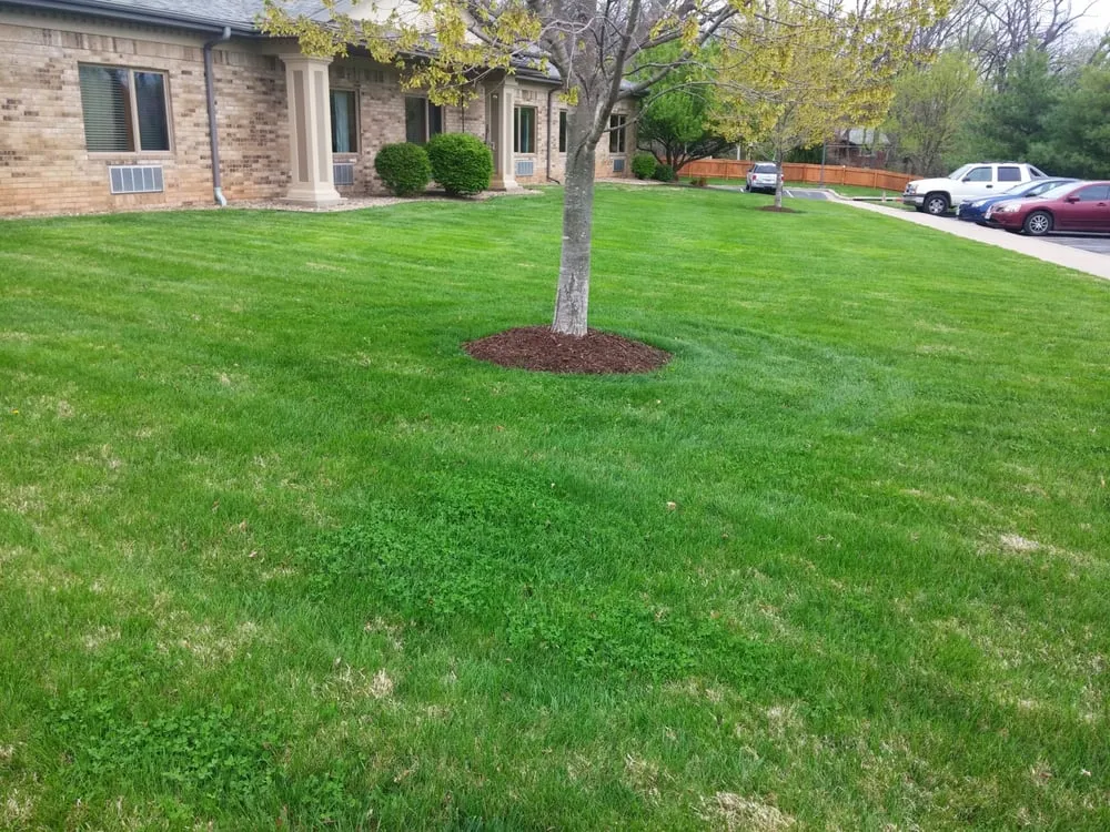 Trusted yard maintenance in Springfield, MO - Custom Edge Lawn Care and Snow Removal