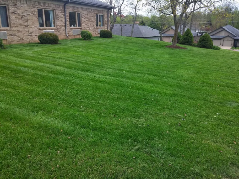 Top-rated outdoor landscaping experts serving Springfield, MO - Custom Edge Lawn Care and Snow Removal
