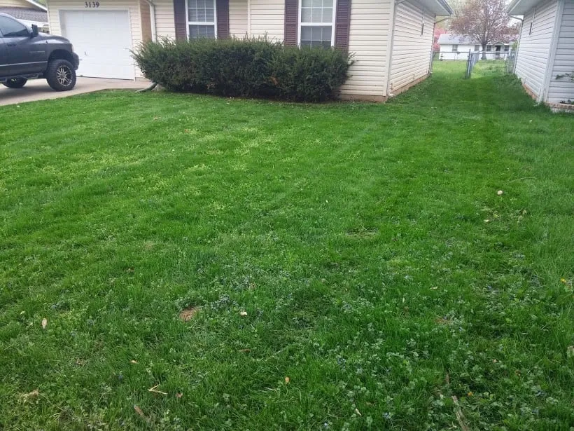 Reliable landscape design for residential properties across Springfield, MO - Custom Edge Lawn Care and Snow Removal