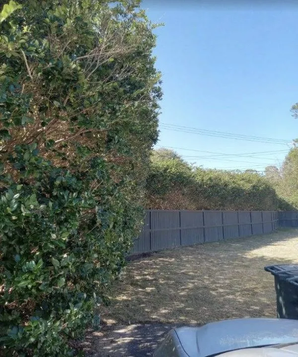 Expert yard cleanup service with custom design across Thomasville, GA - Custom Edges Landscaping