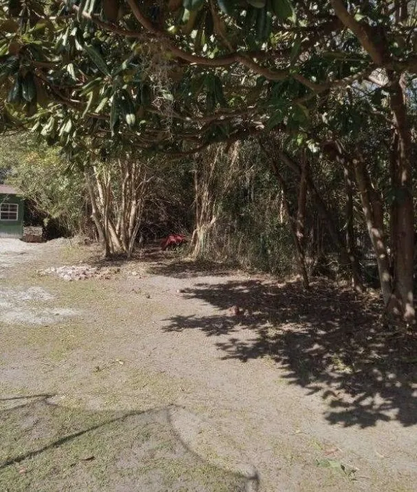 Affordable yard cleanup service with custom design across Thomasville, GA - Custom Edges Landscaping