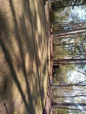 Custom Edges Landscaping