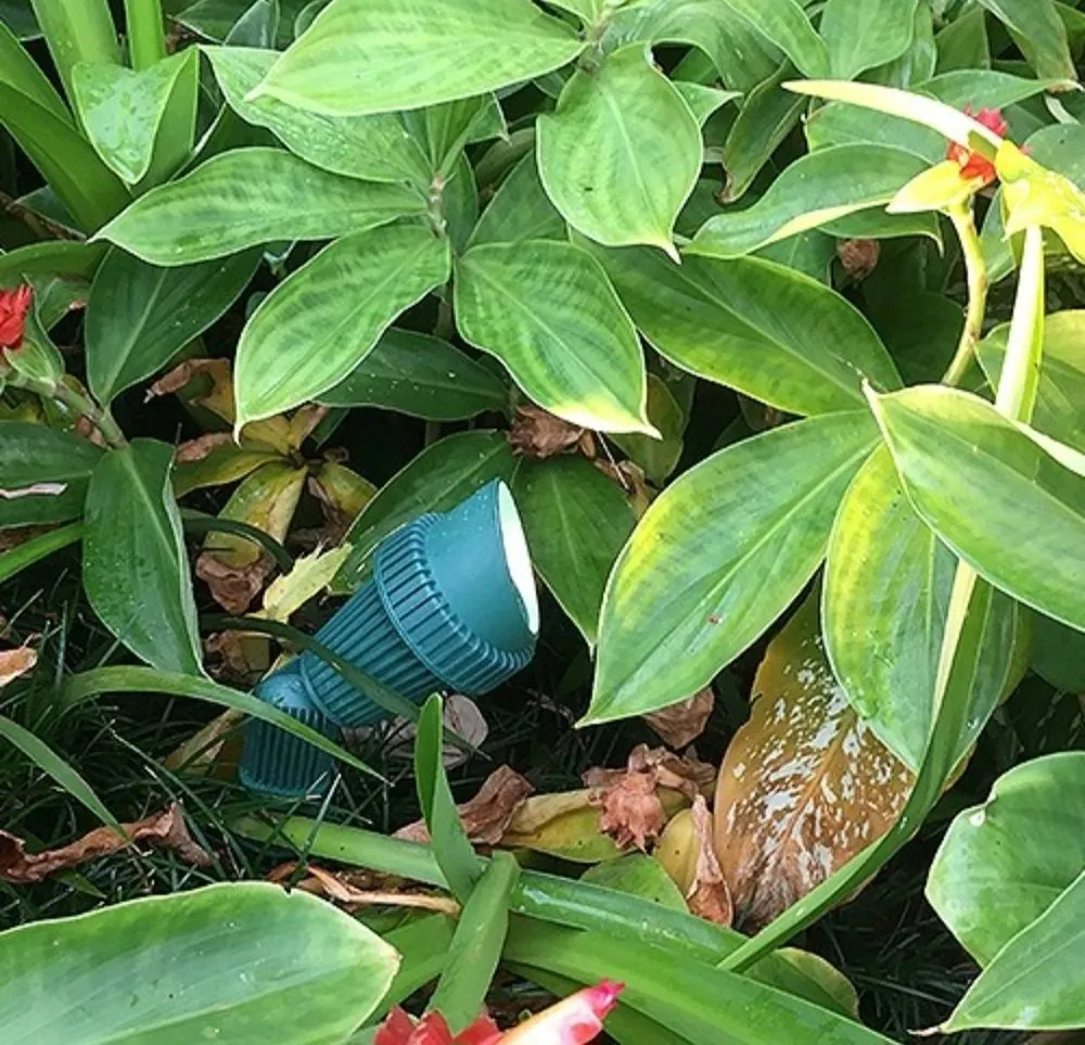 Professional landscape design for homes across Saint George, UT - Custom Escapes