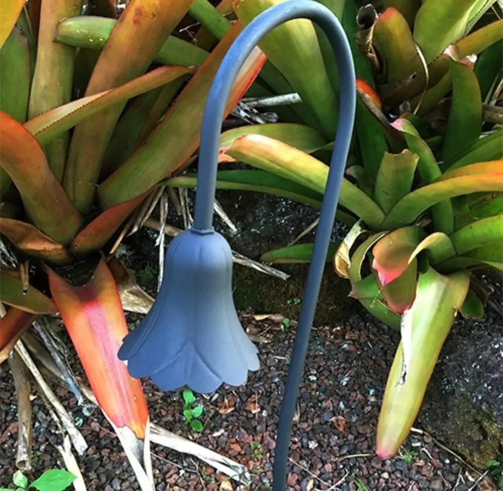 Reliable yard maintenance experts serving Saint George, UT - Custom Escapes