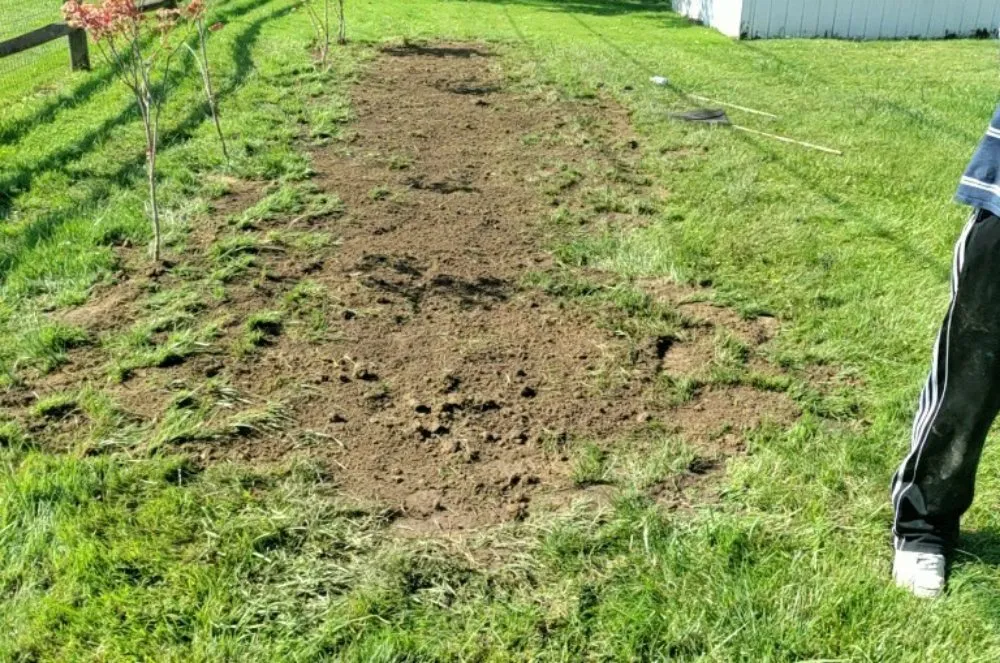 Professional landscape design in Toledo, OH - Custom Fence and Landscape