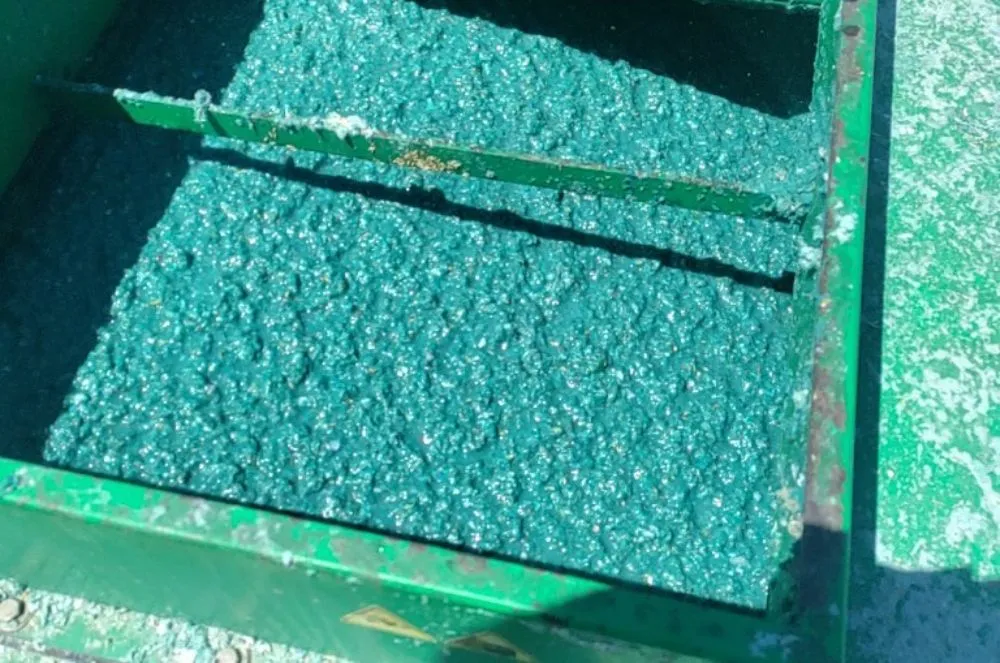 Top-rated yard cleanup service for year-round maintenance in Toledo, OH by Custom Fence and Landscape