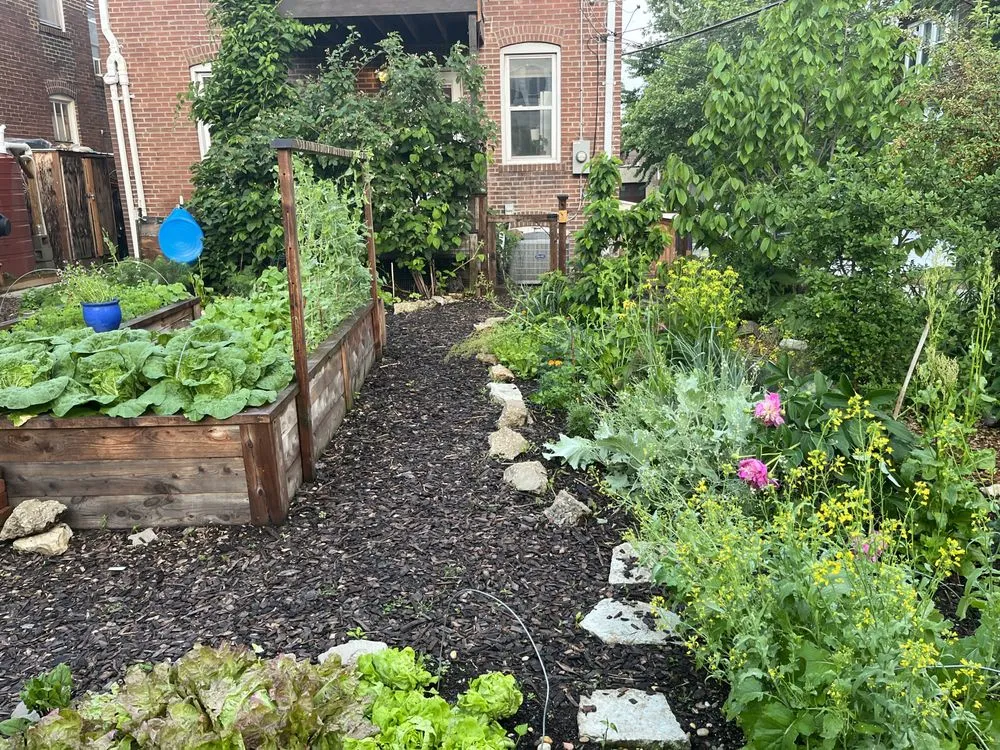 Expert landscaping services for year-round maintenance in St. Louis, MO by Custom Foodscaping