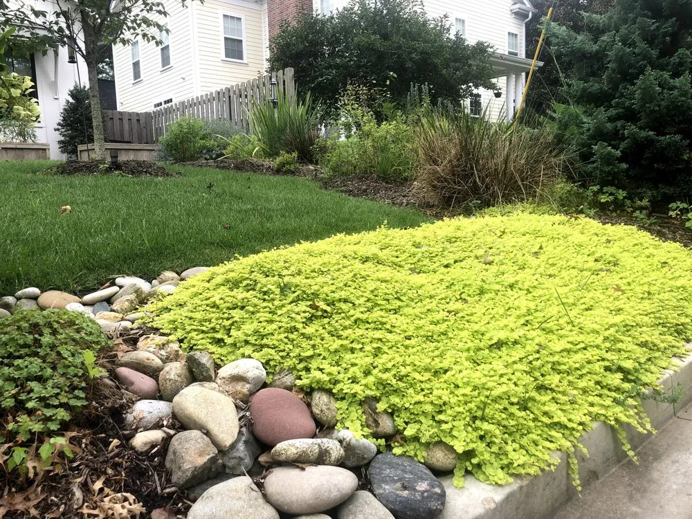 Top-rated lawn care service for beautiful yards in St. Louis, MO by Custom Foodscaping