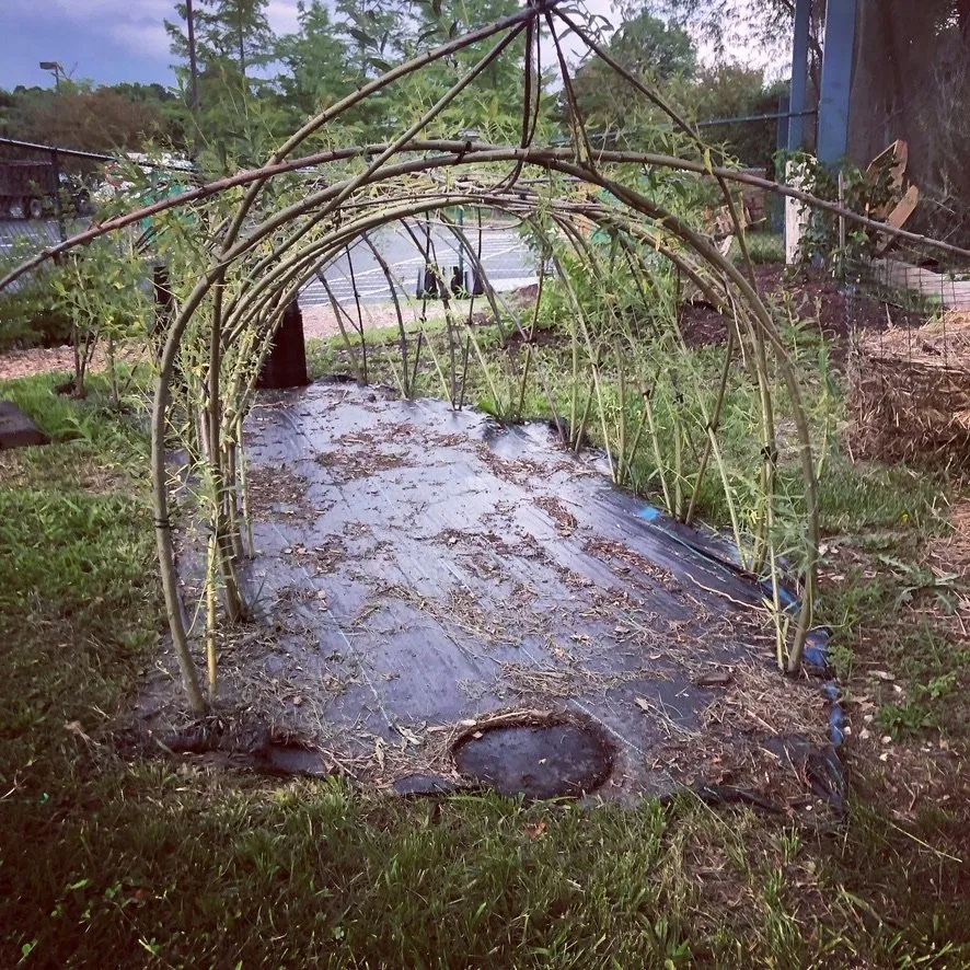 Professional yard maintenance for beautiful yards in St. Louis, MO by Custom Foodscaping