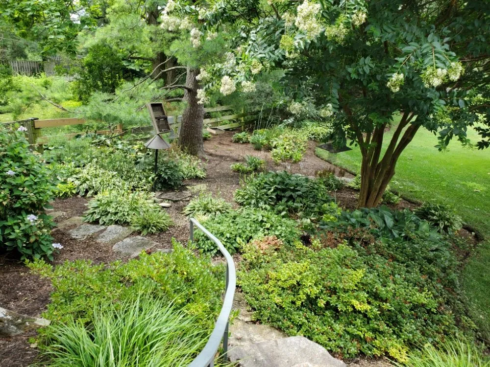 Top-rated yard cleanup service for beautiful yards across Staunton, VA - Custom Gardening Services
