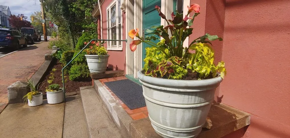 Reliable landscaping services with custom design across Staunton, VA - Custom Gardening Services