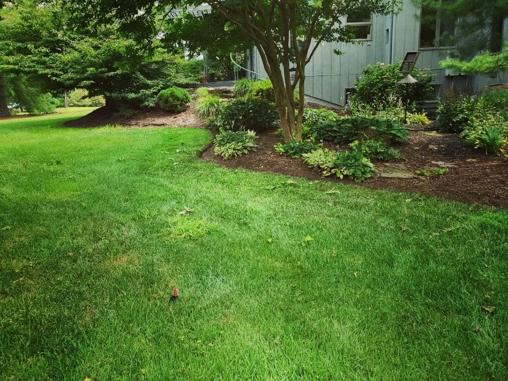 Professional landscape design experts serving Staunton, VA - Custom Gardening Services