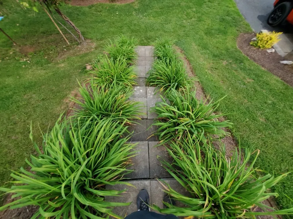 Trusted residential landscaping experts serving Staunton, VA - Custom Gardening Services