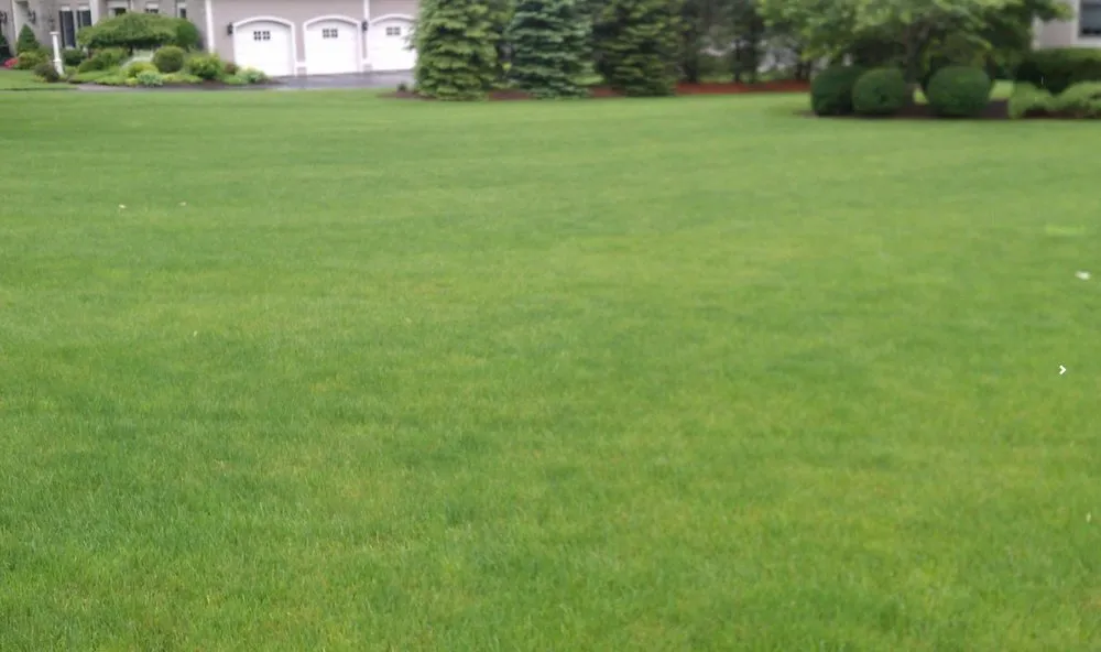 Expert outdoor landscaping for year-round maintenance in Prospect, CT by Custom Grounds