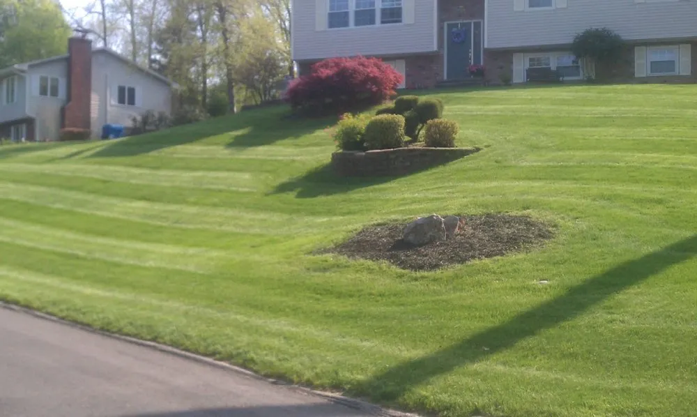 Professional landscape installation for year-round maintenance in Prospect, CT by Custom Grounds