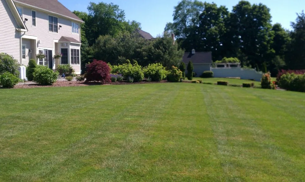 Professional lawn mowing service near you in Prospect, CT by Custom Grounds