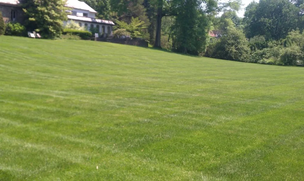 Top-rated yard cleanup service for residential properties in Prospect, CT by Custom Grounds