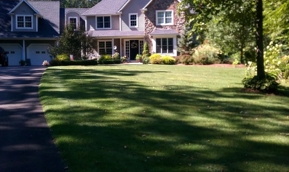 Trusted yard cleanup service near you across Prospect, CT - Custom Grounds