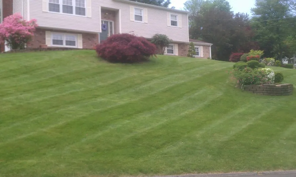 Trusted lawn care service in Prospect, CT by Custom Grounds
